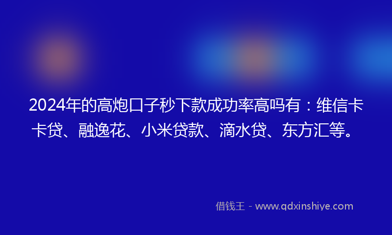 2024年的高炮口子秒下款成功率高吗有：维信卡卡贷、融逸花、小米贷款、滴水贷、东方汇等。