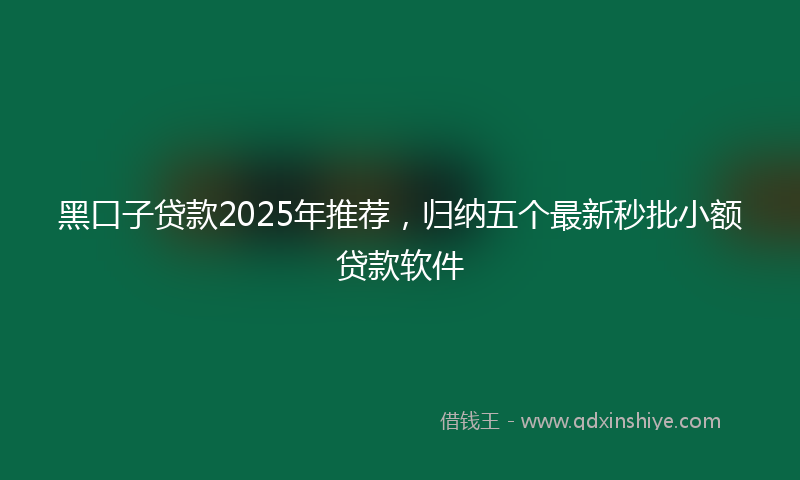 黑口子贷款2025年推荐，归纳五个最新秒批小额贷款软件