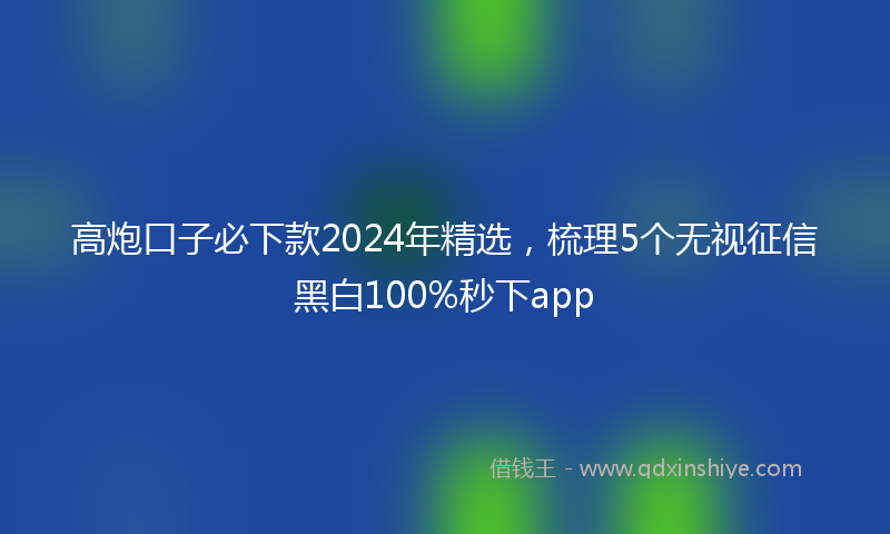 高炮口子必下款2024年精选，梳理5个无视征信黑白100%秒下app