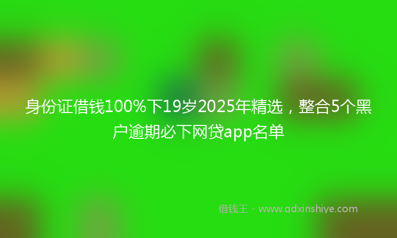 身份证借钱100%下19岁2025年精选，整合5个黑户逾期必下网贷app名单