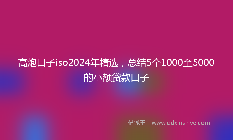 高炮口子iso2024年精选，总结5个1000至5000的小额贷款口子