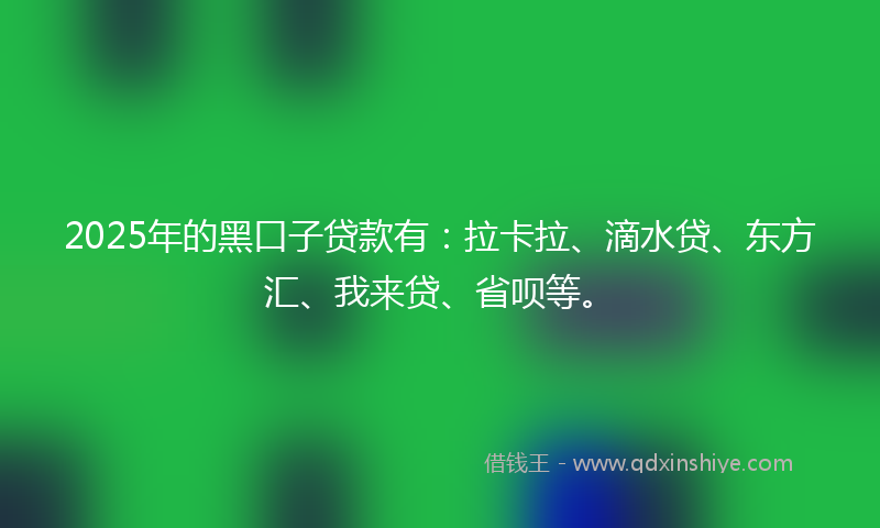 2025年的黑口子贷款有：拉卡拉、滴水贷、东方汇、我来贷、省呗等。