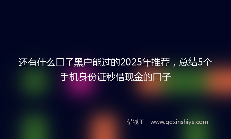 还有什么口子黑户能过的2025年推荐，总结5个手机身份证秒借现金的口子