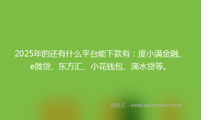 2025年的还有什么平台能下款有：度小满金融、e微贷、东方汇、小花钱包、滴水贷等。