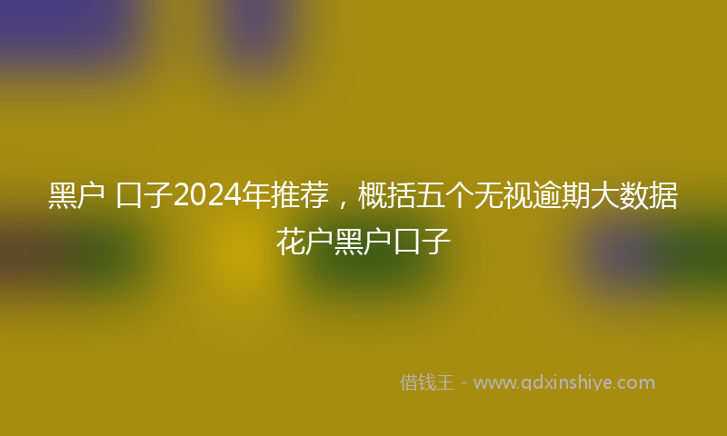 黑户 口子2024年推荐，概括五个无视逾期大数据花户黑户口子