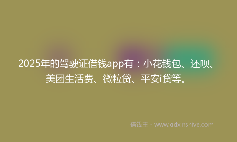 2025年的驾驶证借钱app有：小花钱包、还呗、美团生活费、微粒贷、平安i贷等。