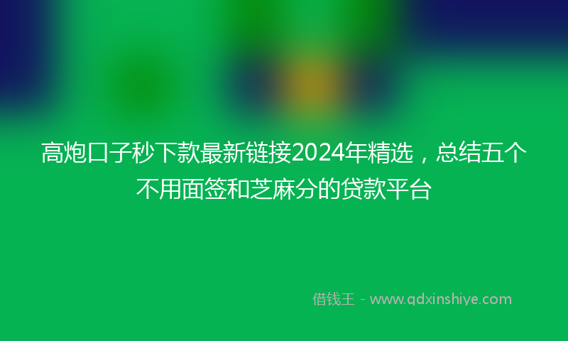 高炮口子秒下款最新链接2024年精选，总结五个不用面签和芝麻分的贷款平台