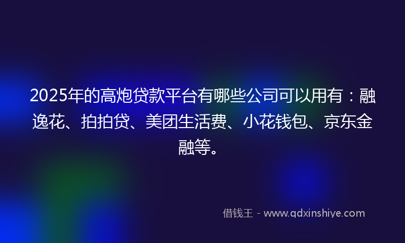 2025年的高炮贷款平台有哪些公司可以用有：融逸花、拍拍贷、美团生活费、小花钱包、京东金融等。