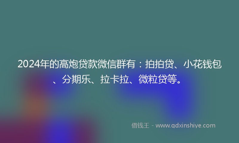 2024年的高炮贷款微信群有：拍拍贷、小花钱包、分期乐、拉卡拉、微粒贷等。