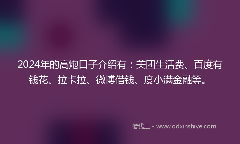 2024年的高炮口子介绍有：美团生活费、百度有钱花、拉卡拉、微博借钱、度小满金融等。