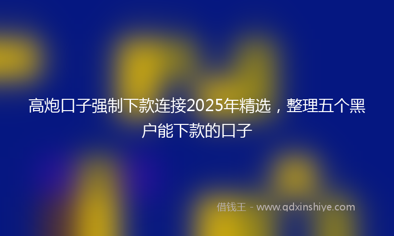 高炮口子强制下款连接2025年精选，整理五个黑户能下款的口子