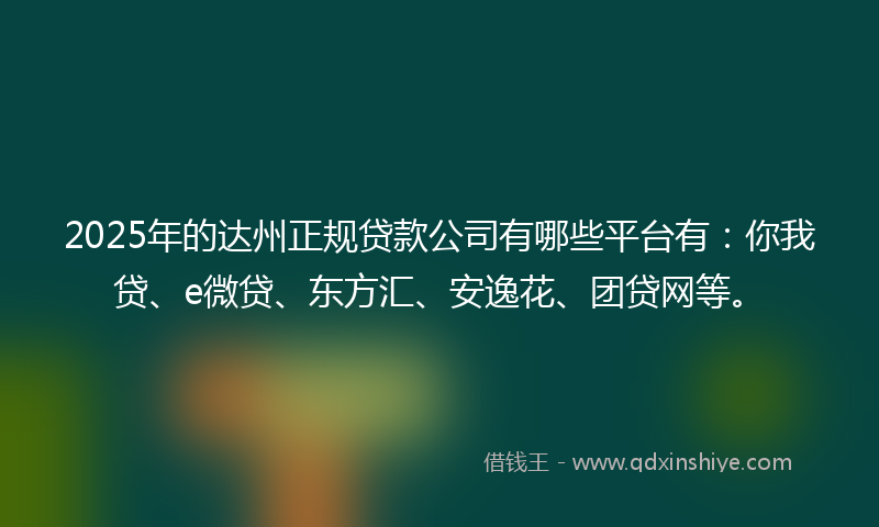 2025年的达州正规贷款公司有哪些平台有：你我贷、e微贷、东方汇、安逸花、团贷网等。