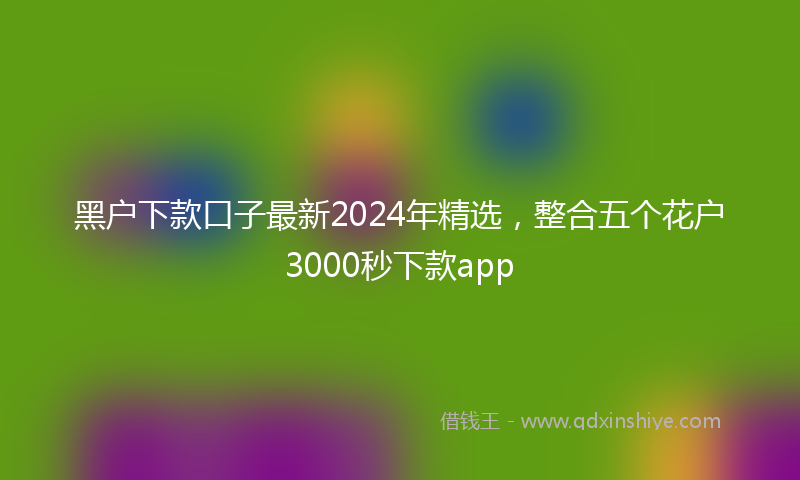 黑户下款口子最新2024年精选，整合五个花户3000秒下款app