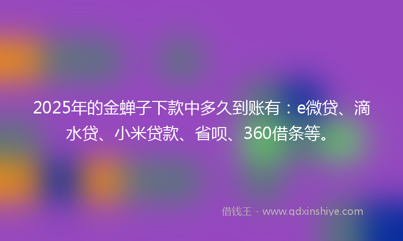 2025年的金蝉子下款中多久到账有：e微贷、滴水贷、小米贷款、省呗、360借条等。