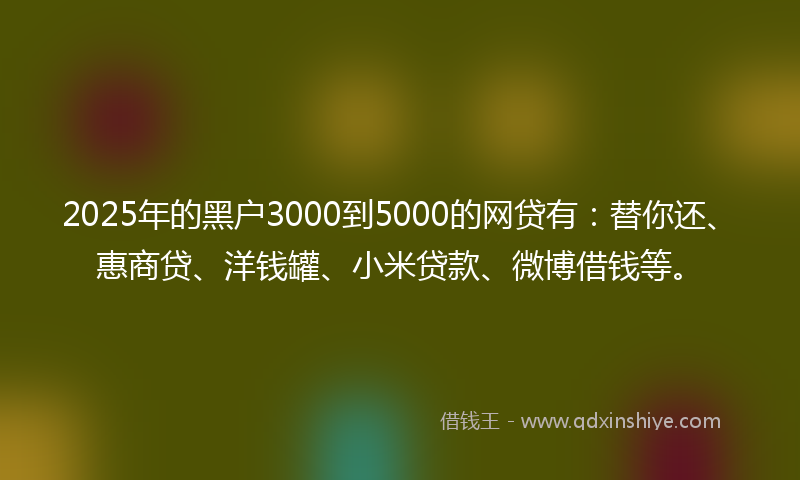 2025年的黑户3000到5000的网贷有：替你还、惠商贷、洋钱罐、小米贷款、微博借钱等。