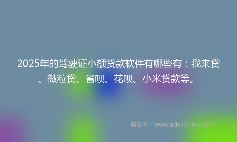 2025年的驾驶证小额贷款软件有哪些有：我来贷、微粒贷、省呗、花呗、小米贷款等。