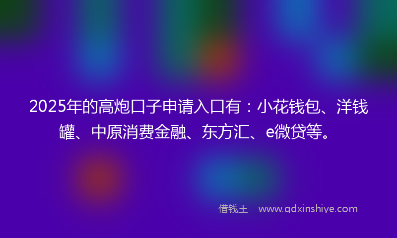 2025年的高炮口子申请入口有：小花钱包、洋钱罐、中原消费金融、东方汇、e微贷等。