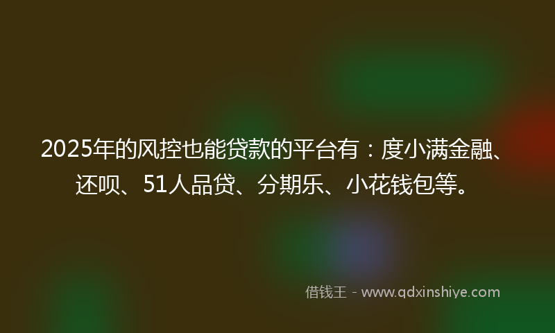 2025年的风控也能贷款的平台有：度小满金融、还呗、51人品贷、分期乐、小花钱包等。