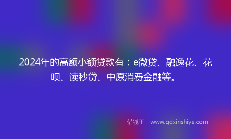 2024年的高额小额贷款有：e微贷、融逸花、花呗、读秒贷、中原消费金融等。