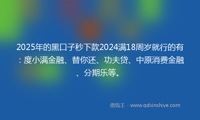 2025年的黑口子秒下款2024满18周岁就行的有：度小满金融、替你还、功夫贷、中原消费金融、分期乐等。