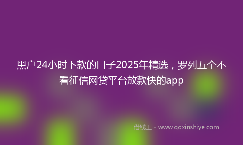 黑户24小时下款的口子2025年精选，罗列五个不看征信网贷平台放款快的app