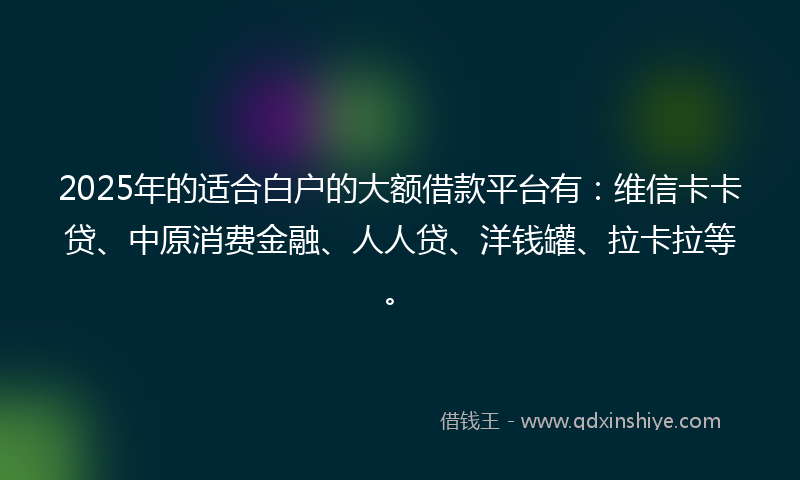 2025年的适合白户的大额借款平台有：维信卡卡贷、中原消费金融、人人贷、洋钱罐、拉卡拉等。
