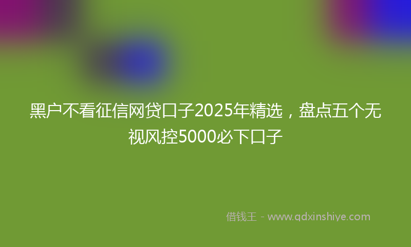 黑户不看征信网贷口子2025年精选，盘点五个无视风控5000必下口子