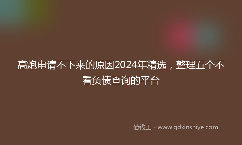 高炮申请不下来的原因2024年精选，整理五个不看负债查询的平台