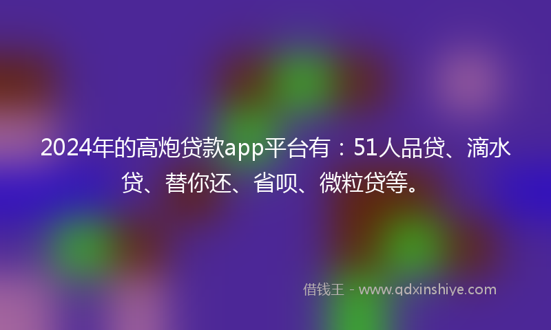 2024年的高炮贷款app平台有：51人品贷、滴水贷、替你还、省呗、微粒贷等。