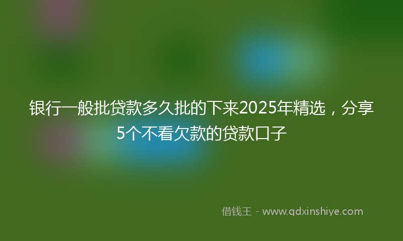 银行一般批贷款多久批的下来2025年精选，分享5个不看欠款的贷款口子