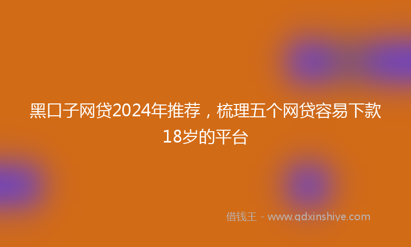 黑口子网贷2024年推荐，梳理五个网贷容易下款18岁的平台