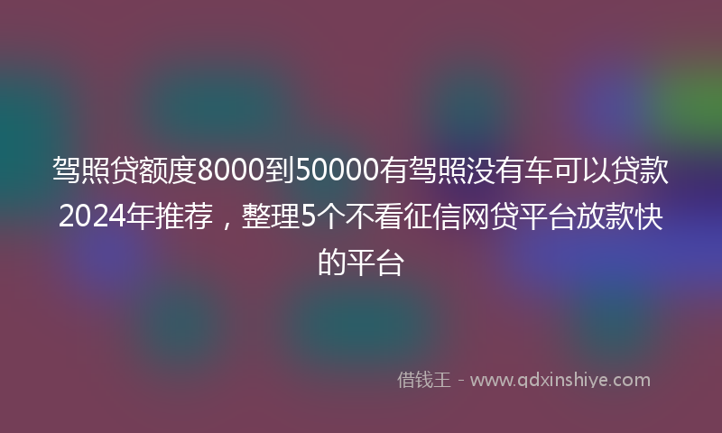 驾照贷额度8000到50000有驾照没有车可以贷款2024年推荐，整理5个不看征信网贷平台放款快的平台