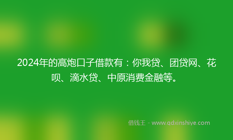2024年的高炮口子借款有：你我贷、团贷网、花呗、滴水贷、中原消费金融等。