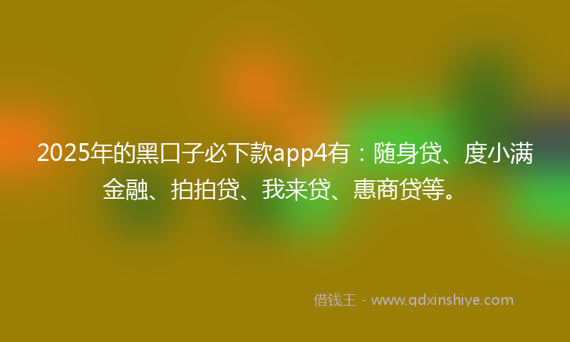 2025年的黑口子必下款app4有：随身贷、度小满金融、拍拍贷、我来贷、惠商贷等。