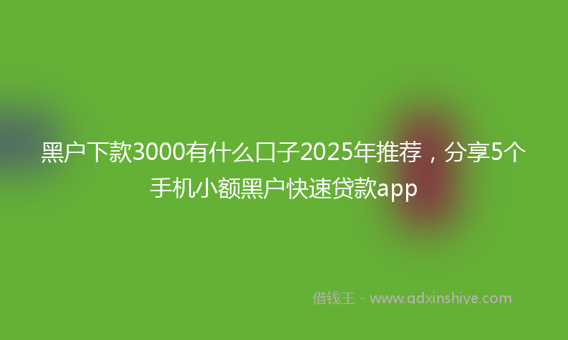 黑户下款3000有什么口子2025年推荐，分享5个手机小额黑户快速贷款app