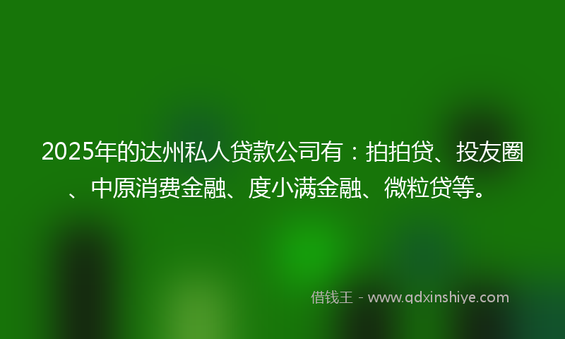2025年的达州私人贷款公司有：拍拍贷、投友圈、中原消费金融、度小满金融、微粒贷等。