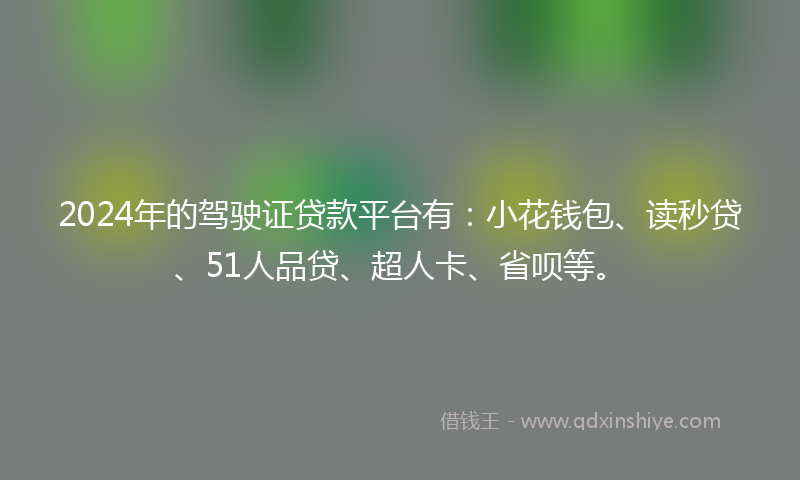2024年的驾驶证贷款平台有：小花钱包、读秒贷、51人品贷、超人卡、省呗等。