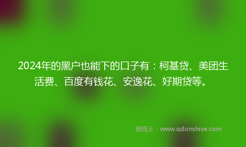 2024年的黑户也能下的口子有：柯基贷、美团生活费、百度有钱花、安逸花、好期贷等。