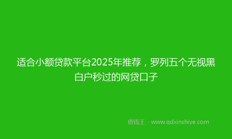 适合小额贷款平台2025年推荐，罗列五个无视黑白户秒过的网贷口子