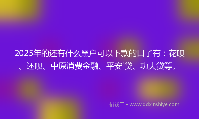 2025年的还有什么黑户可以下款的口子有：花呗、还呗、中原消费金融、平安i贷、功夫贷等。