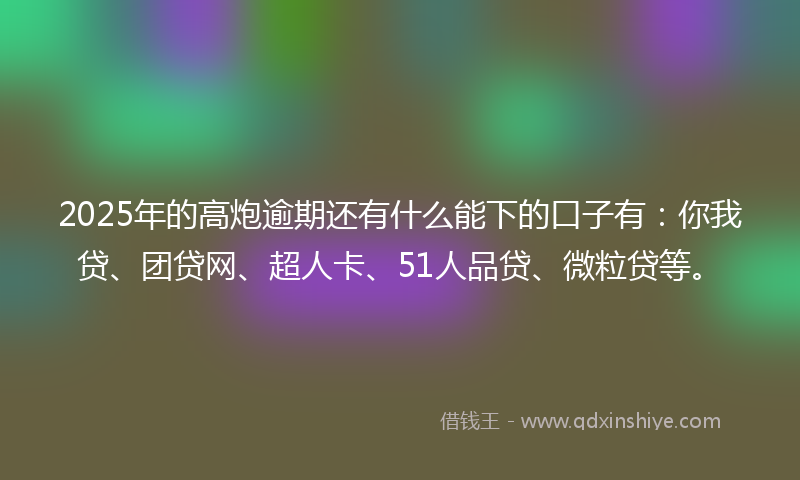 2025年的高炮逾期还有什么能下的口子有：你我贷、团贷网、超人卡、51人品贷、微粒贷等。