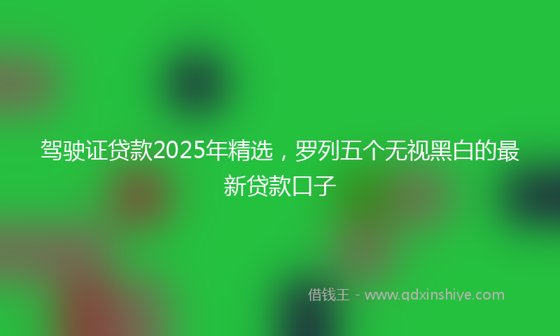 驾驶证贷款2025年精选，罗列五个无视黑白的最新贷款口子