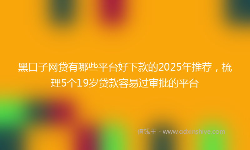 黑口子网贷有哪些平台好下款的2025年推荐，梳理5个19岁贷款容易过审批的平台