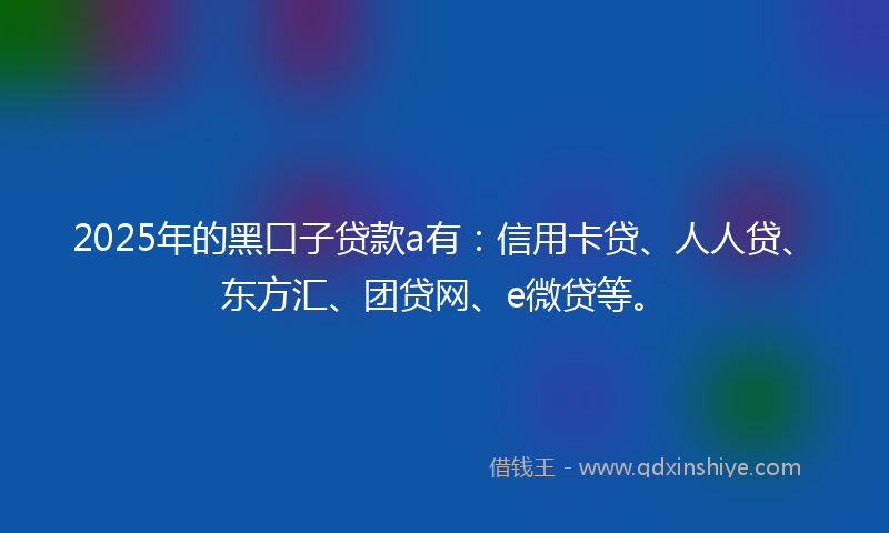 2025年的黑口子贷款a有：信用卡贷、人人贷、东方汇、团贷网、e微贷等。