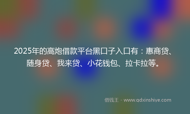 2025年的高炮借款平台黑口子入口有：惠商贷、随身贷、我来贷、小花钱包、拉卡拉等。