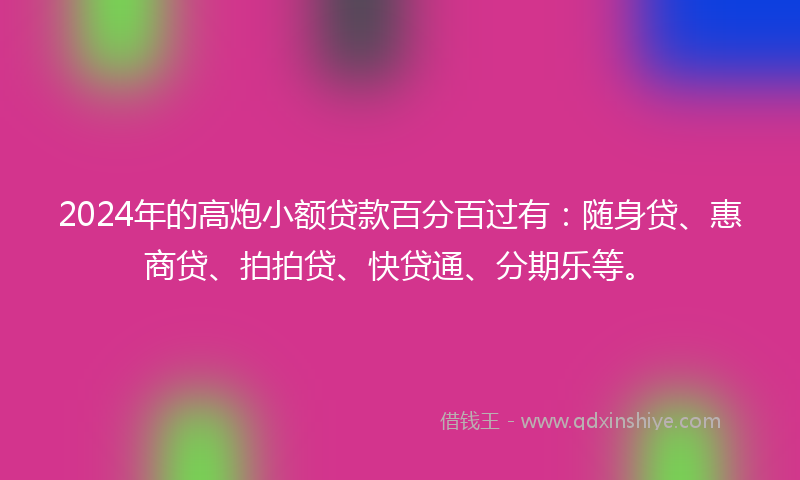 2024年的高炮小额贷款百分百过有：随身贷、惠商贷、拍拍贷、快贷通、分期乐等。