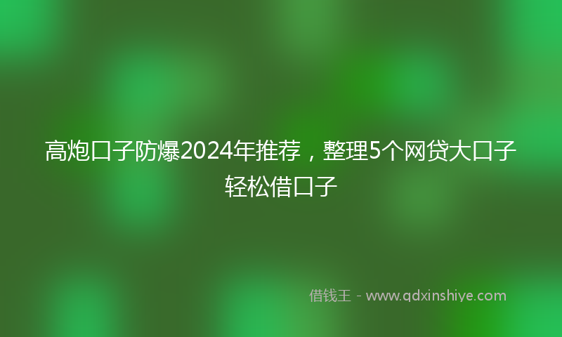 高炮口子防爆2024年推荐，整理5个网贷大口子轻松借口子