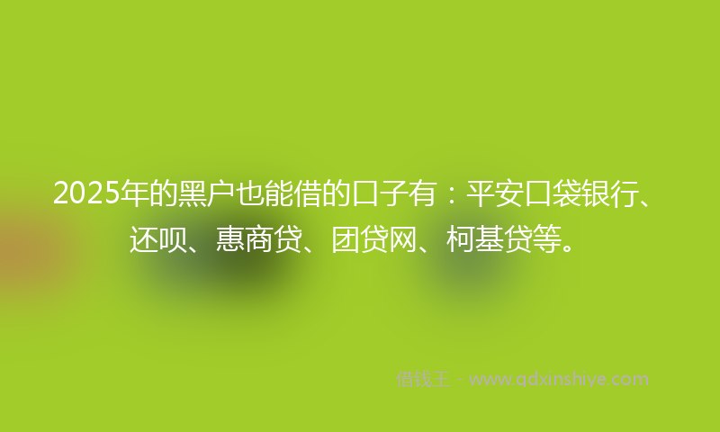 2025年的黑户也能借的口子有：平安口袋银行、还呗、惠商贷、团贷网、柯基贷等。