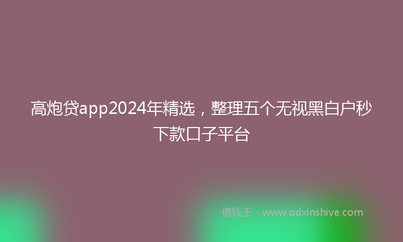 高炮贷app2024年精选，整理五个无视黑白户秒下款口子平台