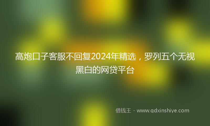 高炮口子客服不回复2024年精选，罗列五个无视黑白的网贷平台